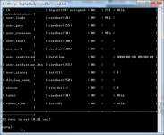 为你的网站添加用户注册邮箱验证[一]-代码狗
