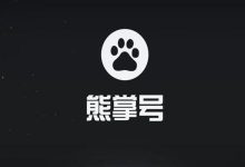 WordPress纯代码简单实现提交数据到百度熊掌号-代码狗