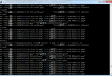 网站中以中文和数字或字母命名的文件无法访问-代码狗