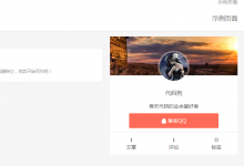 WordPress主题DUX自定义小工具作者简介-代码狗