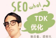 WordPress自动添加标题描述关键词tdk-代码狗