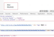 WordPress函数the_tags获取文章标签使用详解-代码狗