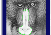 VisionPro拼接图像脚本实现代码-代码狗