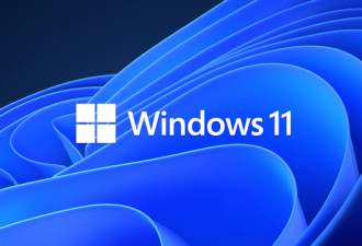 Microsoft Windows 11 v21H2(22000.194)-代码狗
