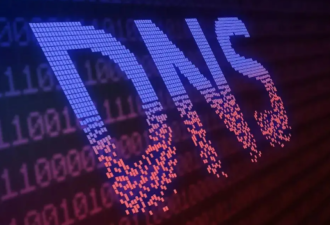 群晖内的公网访问解决方案，全平台的DDNS-代码狗