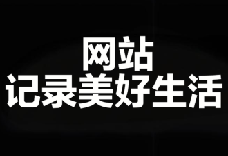 收到来自浙江网友缙哥哥的盲盒礼物-代码狗
