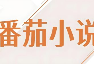 体验在番茄写小说-代码狗